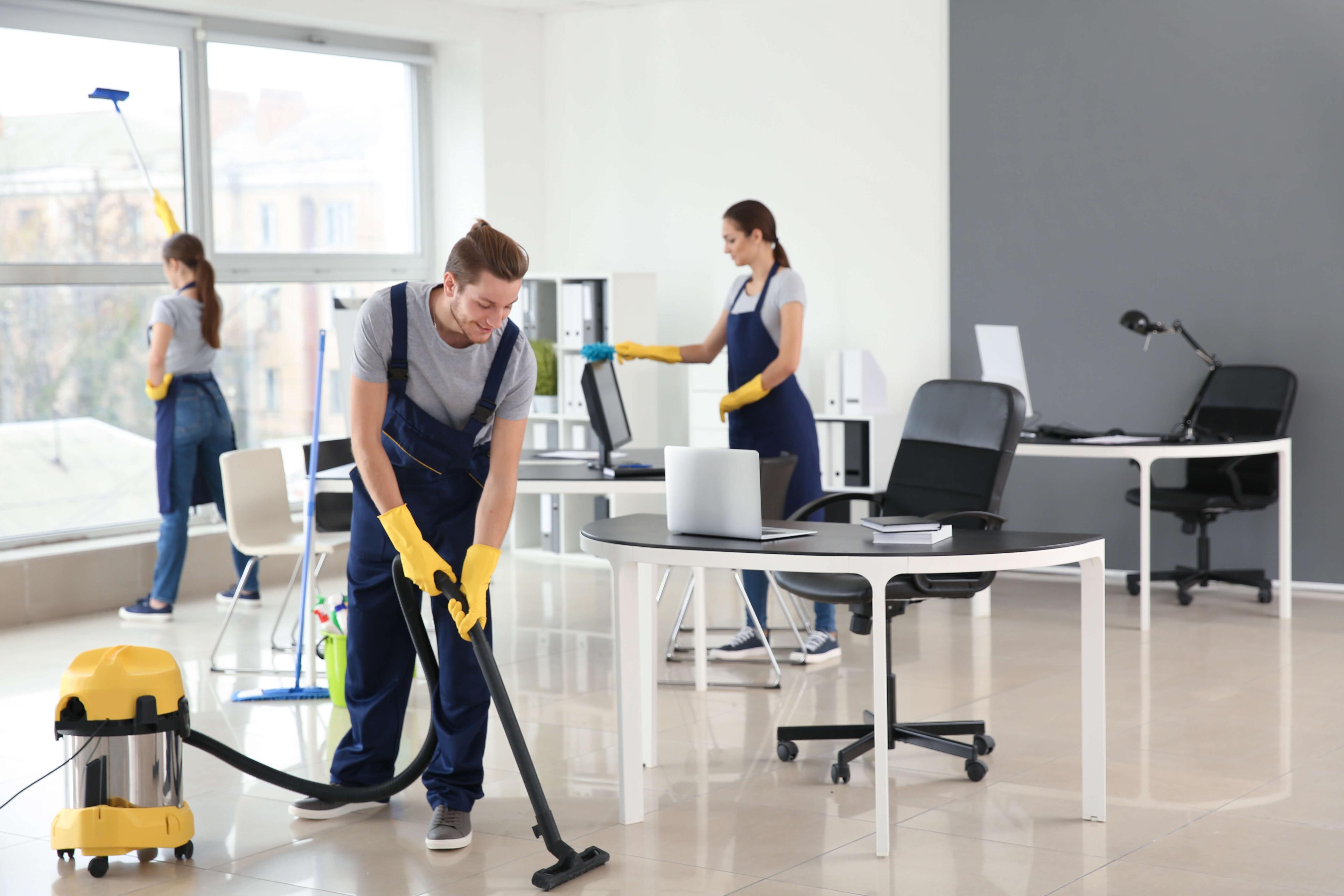 Professional cleaning team at work